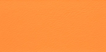 1904-arancia-leonis